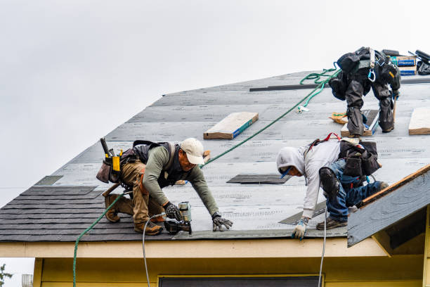 Professional Roofing technician working in Linville, VA